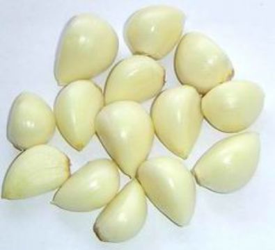 Peeled Garlic